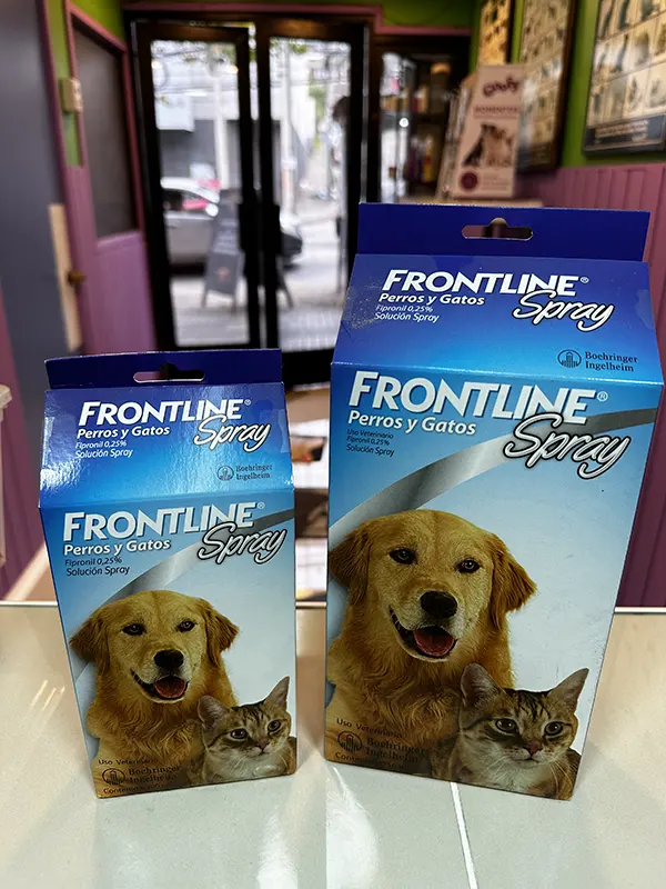 Frontline