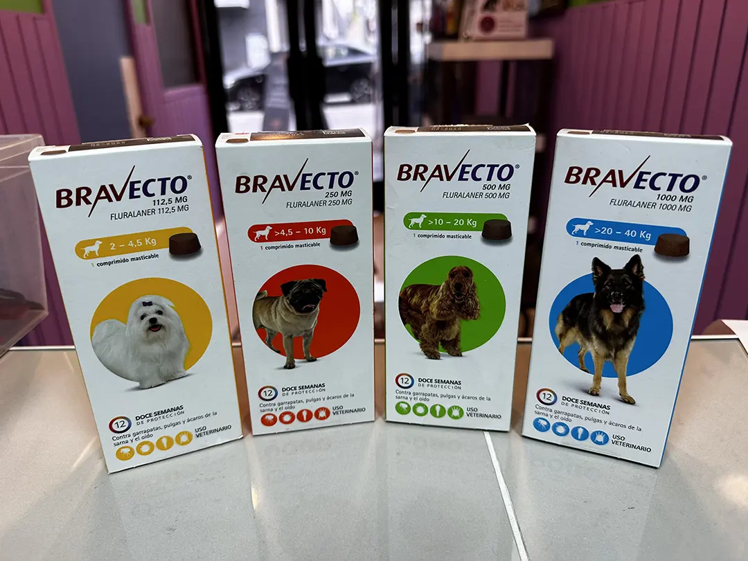 veterinaria san antonio