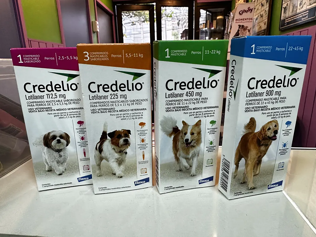 veterinaria san antonio