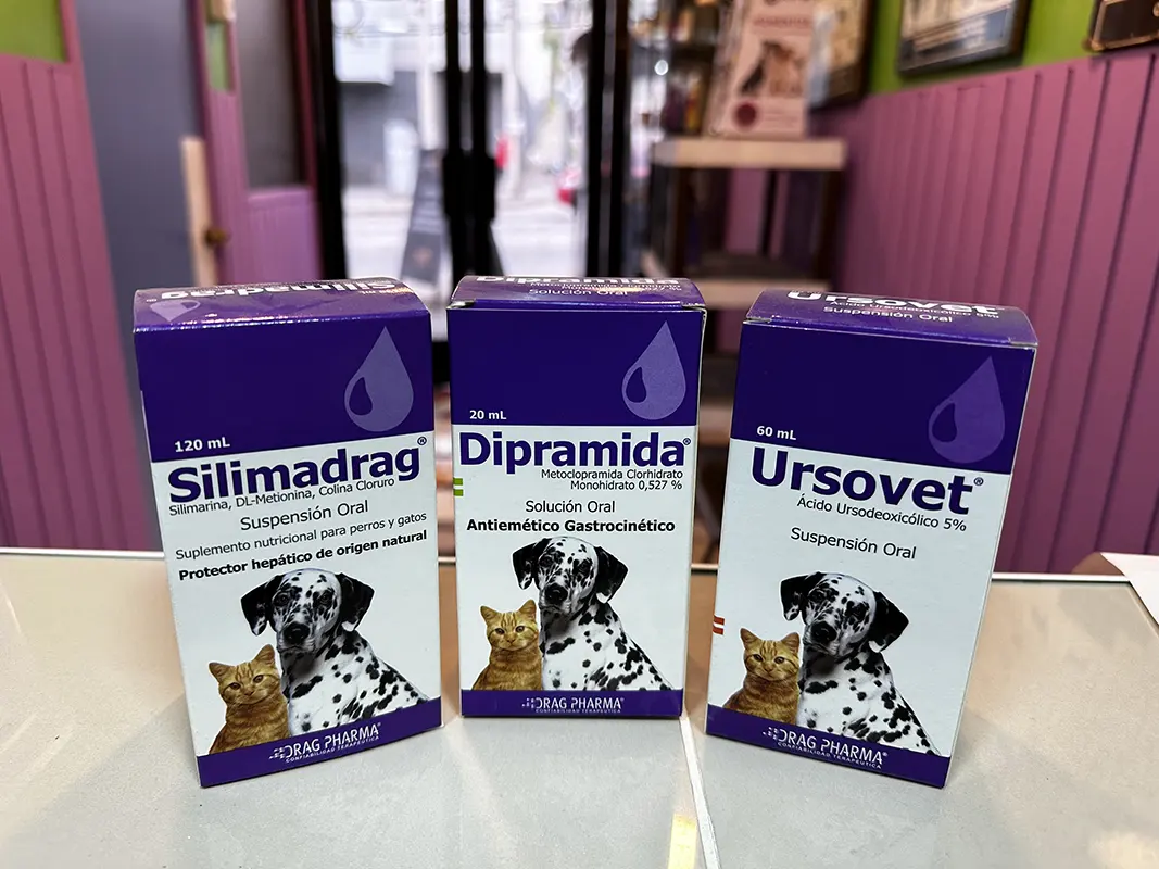 veterinaria san antonio