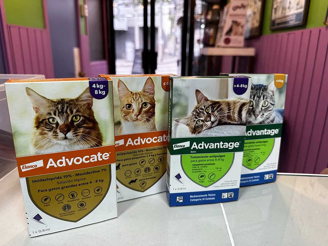 veterinaria san antonio