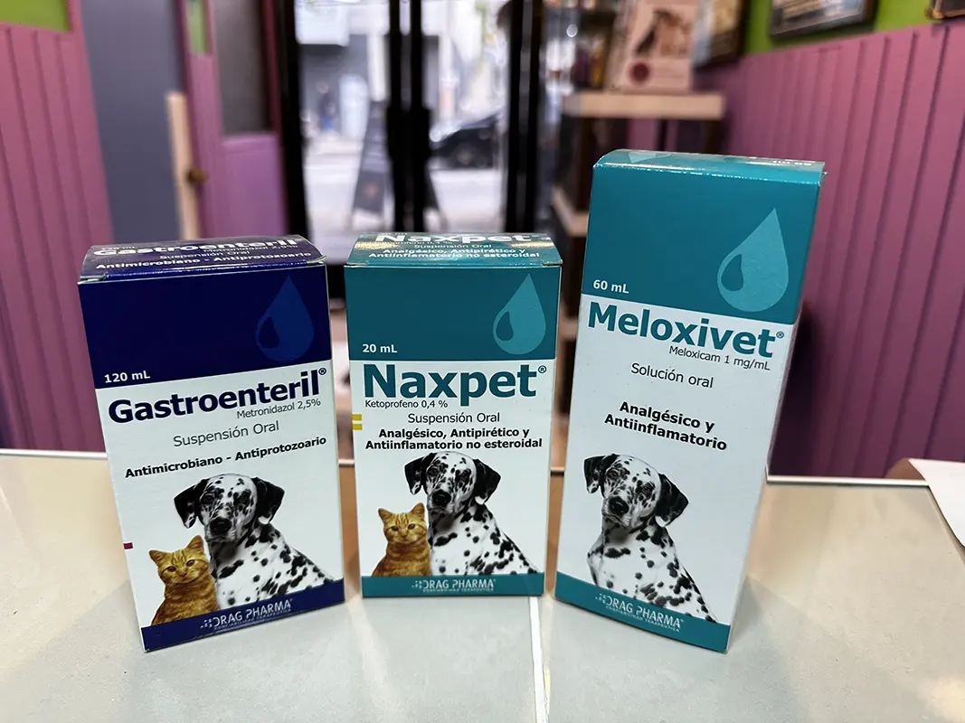 veterinaria san antonio