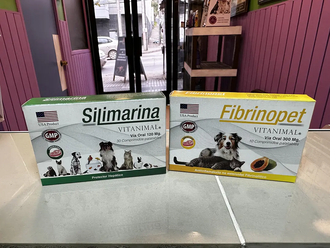 veterinaria san antonio